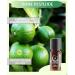 Organic Lime Oil 10ml from Sri Lanka | Essential Citrus Aurantifolia for Biological Cultivation - Buy Online on GoSupps.com