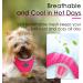 Thinkpet No-Pull Dog Harness & Leash Set | Adjustable Soft Breathable Safety Harness for Small Medium & Large Dogs - Pink Red - Buy Online on GoSupps.com