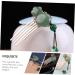 Didiseaon 1pc Hair Accessories Comb Barrette Wedding Hair Clip Bridal Side Comb Hair Pin Girl Hair Clip Decor Elegant Pearl Hair Comb Miss Non-slip Freshwater Pearls Etc. Hosta - Buy Online on GoSupps.com