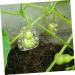 GANAZONO 10 Pcs Vegetable Plastic Fruit Fruits Ginseng Fruit Cucumber Modeling 7.6x5.6cmx2pcs Transparentx2pcs - Buy Online on GoSupps.com