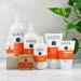 Sante Natural Cosmetics Moisture Flushing Bio-Mango & Aloe Vera - Intensive Hair Care 150ml (Pack of 2) | Soft Nourished Hair - Buy Online on GoSupps.com