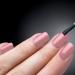 Karma Organic Wine O'clock Nail Polish with Lavender Remover - Non Toxic, Vegan, Cruelty Free, Acetone Free - Buy Online on GoSupps.com
