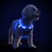 PCEOTLLAR Dog harness Luminous Usb Charging Luminous light harness Led light light harness for puppy Small medium-sized dog flashes breathable and lightweight black blue-S S black blue