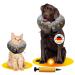 Halskruff dog & cat dog collar leak protection neck collar soft after op protective collar different sizes collar for dogs and cats (XL)
