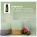 Buy doTERRA Basil Essential Oil 15 mL - Pure & Natural | International Shipping Available - Buy Online on GoSupps.com