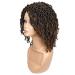 FAVE Short Braided Wig | Dreadlock Wigs for Black Women | Faux Locs Wig with Brown Highlights | Afro Braids Wig | Low Temperature Synthetic Hair (Ombre Brown) - Buy Online on GoSupps.com