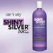 Shiny Silver Ultra Color-Enhancing Conditioner - 33.8 Fl. Oz | For White, Grey, Bleached, Frosted, or Blonde-Tinted Hair - Buy Online on GoSupps.com