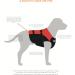 Stunt Puppy Float Dog Life Jacket - XL Red | Premium Pet Safety for Water Adventures - Buy Online on GoSupps.com