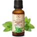 Buy Pure Japanese Mint Oil 30ml - Natural Mentha Arvensis for Aromatherapy | Fragrance Lamp & Diffuser | Best for Beauty & Wellness - Buy Online on GoSupps.com