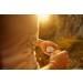 Captain Ohlsen's Vlossen-Vett: Vegan Hand Cream for Climbers & Boulderers - Ultimate Relief for Stressed Hands - Buy Online on GoSupps.com