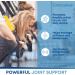 Cetyl Myristoleate Soft Gels Omega 5 Fatty Acid - Joint Relief & Mobility Support - With Glucosamine, Turmeric - 90 Soft Gels - Buy Online on GoSupps.com