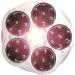 Qi Balancer II - Tiens Head Maintenance Device | Electromagnetic Therapy for Blood Pressure Reduction - Buy Online on GoSupps.com