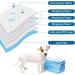 CAILOS Rabbit Pee Pads - Super Absorbent Diapers for Small Pets - 20 Count - Buy Online on GoSupps.com