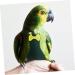 Mipcase 3st Flying Bird Whirls Windel | Parrot & Chicken Clothes | Cotton Pet Pee Pad for Parrots & Pets - Buy Online on GoSupps.com