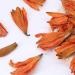 LWXLJMJZC-Lily Dried Lily Herbal Tea -Blooming Flower Tea 1.75oz/50g 50g Lily Flower Tea - Buy Online on GoSupps.com
