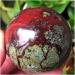 JUKUCKV Dragon Bloodstone Jasper Crystal Sphere Ball - 700g Spiritual Support Gift | International Shipping - Buy Online on GoSupps.com
