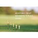 Zivisk Bamboo Golf Tees 100 Count - Strong, Sustainable, Biodegradable - 2-3/4 or 3-1/4 Long - Black & Stripe Design - Buy Online on GoSupps.com