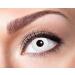 Eyecatcher motif lenses - White Zombie M02 - Colored 3 -month contact lenses - White lentils to ghosts Halloween Cosplay costumes 14.5 mm White Zombie M02