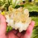 Natural Crystal Rough Rough Natural Citrine Quartz Stone Point Crystal Reiki Cluster 250G-650G 1pc (Size : 550G-650G) - Buy Online on GoSupps.com