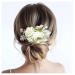 Wedding Flower Slide Comb Bridal Artificial Floral Hair Comb Vintage Frost Headpiece Hair Piece Accessories for Women Girls Brides Bridesmaids (White B)