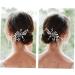 DOITOOL Bride Headpieces for Wedding Bridal Accessories Wedding Hair Clip Wedding Bridesmaid Goody Hair Clips for Women Decorative Hair Clips for Women Tiara Women's Comb Pearl - Buy Online on GoSupps.com