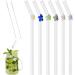 Abizarch 6Pcs Drinking Straws Reusable Clear Glass Drinking Straws with Cleaning Brush Cute Flower Tortoise Heart Straws Heat-Resistant Smoothie Straws for Smoothies Tea Juice Milkshakes ZHAZHAMO - Buy Online on GoSupps.com