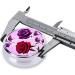 Red & Purple Roses Round Pill Box | 3-Compartment Organizer for Travel | Portable Pill Storage for Purse & Pocket - Buy Online on GoSupps.com