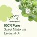 Plant Therapy Sweet Marjoram Essential Oil 100% Pure Undiluted Natural Aromatherapy Therapeutic Grade 10 mL (1/3 oz) Marjoram 0.33 Fl Oz (Pack of 1) - Buy Online on GoSupps.com