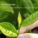 Suzhou Biluochun Tea Chinese Green Tea 200g Loose Leaf Tea Pure Leaf Tea Picked Before Pure Brightness Shoots Strong Flavor in Bags - Buy Online on GoSupps.com