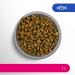 Buy PERFECT FIT Adult Dry Cat Food - Salmon Flavor for Cats 1 Year & Older 2.8 kg (3 Bags) & 8.4 kg (1 Pack) - International Shipping Available - Buy Online on GoSupps.com