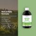 Bandini DETOX SLIM 500ml Liquid Drainage Digestion Antioxidant Liver Cleansing Natural supplement of Green Tea Dandelion Blueberry Pilosella Birch and Papaya 100 Vegan - Buy Online on GoSupps.com