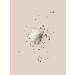 AHAVA Dead Sea Mineral Bath Salt - Nourishing Eucalyptus Bath Soak 32 oz - Buy Online on GoSupps.com