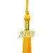 Gold 2023 Quality Graduation Tassel with Gold Charm for Cap or Souvenir - Buy Online on GoSupps.com