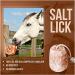 SOO Natural Pure Himalayan Salt Licks for Animals - Great for Horses Cows Deer and Other Livestock - Ropes Included | 1-2kg Salt Lick - Buy Online on GoSupps.com