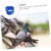 BESPORTBLE 300 Pcs Meat Pigeon Anklet Chicken Ankle Bands Pigeon Leg Ring Bird Leg Clips Hen Plastic 1.3X1.3CMx3pcs Dark Bluex3pcs - Buy Online on GoSupps.com