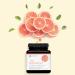 Youtheory Daily Fat Burner - 60 Vegetarian Capsules | Boost Metabolism & Support Weight Loss - Buy Online on GoSupps.com