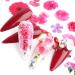 Junterone 10 Rolls Nail Decals Nail Extension Gel Art Decorations for Women Nail Extension Gel DIY Design Nail Art Decorations Easy to Use - Buy Online on GoSupps.com