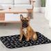 Comsmart Warm Paw Print Blanket/Bed Cover for Dogs and Cats | 6 Pack, 24x28 Inches, Multi-colored - Buy Online on GoSupps.com