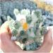 500-600g Hot Green Ghost Quartz Crystal Cluster Stones Specimen for Home Decoration Fengshui Freeform kaixun - Buy Online on GoSupps.com