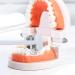 NGCG U-Shaped Toothbrush for Sensitive Teeth & Gums | Soft Bristles for Kids | Microborsten | White/Opulent Garden - Buy Online on GoSupps.com