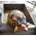 juler Tortoise Wood Grain Bath Tub Tortoise Lizard ABS Plastic Stepped Food Bowl Climbing Pet Sun Terrace (Brown) - Buy Online on GoSupps.com
