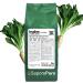 SaporePuro INULIN powder 1 kg - LONG CHAIN ??- Prebiotic plant fiber derived from chicory roots - High performance inulin powder for fat replacement