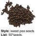 Benoon Sweet Pea Seeds 50pcs/Bag Fast Growing Hardy Plant Seeds Sweet Pea Seeds - Buy Online on GoSupps.com