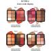  PCC PTYXIS Carmine Contour Color Palette 12 Colors Professional Color Concealer Cream Waterproof Color Palette Suitable for Oily Dry or Sensitive Skin (#12-B 12 Colors) - Buy Online on GoSupps.com