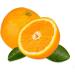Cupcake World Intense Food Flavouring Orange 100 ml - Buy Online on GoSupps.com