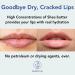 Natural Beeswax Lip Balm Gift Set - Assorted Flavors 100% Pure Ingredients Moisturizing & Nourishing for Dry Cracked Lips - Made in USA - Buy Online on GoSupps.com