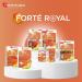 Fort Pharma - Gel e Royale Bio 2500 mg | Compl ment Alimentaire Immunit et D fenses - ultra concentr e Miel | Fatigue Syst me immunitaire | 20 ampoules - Buy Online on GoSupps.com