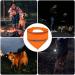 Reflective Triangle Dog Tapers - Adjustable Fluorescent Orange Pet Scarves for Night Walks Camping & Travel - Buy Online on GoSupps.com