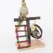 XLpeixin Bird Playground Parrot Playstand | Exercise Perch Gym Stand for Small-Medium Birds | Portable Hang Swing Toys for Parakeets, Canaries, Cockatiels - Buy Online on GoSupps.com