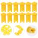 Beavorty 100pcs Anti-Blocking Needle Eyelash Glue Bottles | Perfect for Eyelash Extensions | Premium Quality PP Two-Color Design - Buy Online on GoSupps.com